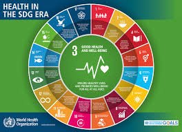 Developing Cross-Cultural Healthcare Workers: Content, Process and Mentoring