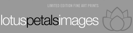lotuspetalsimages