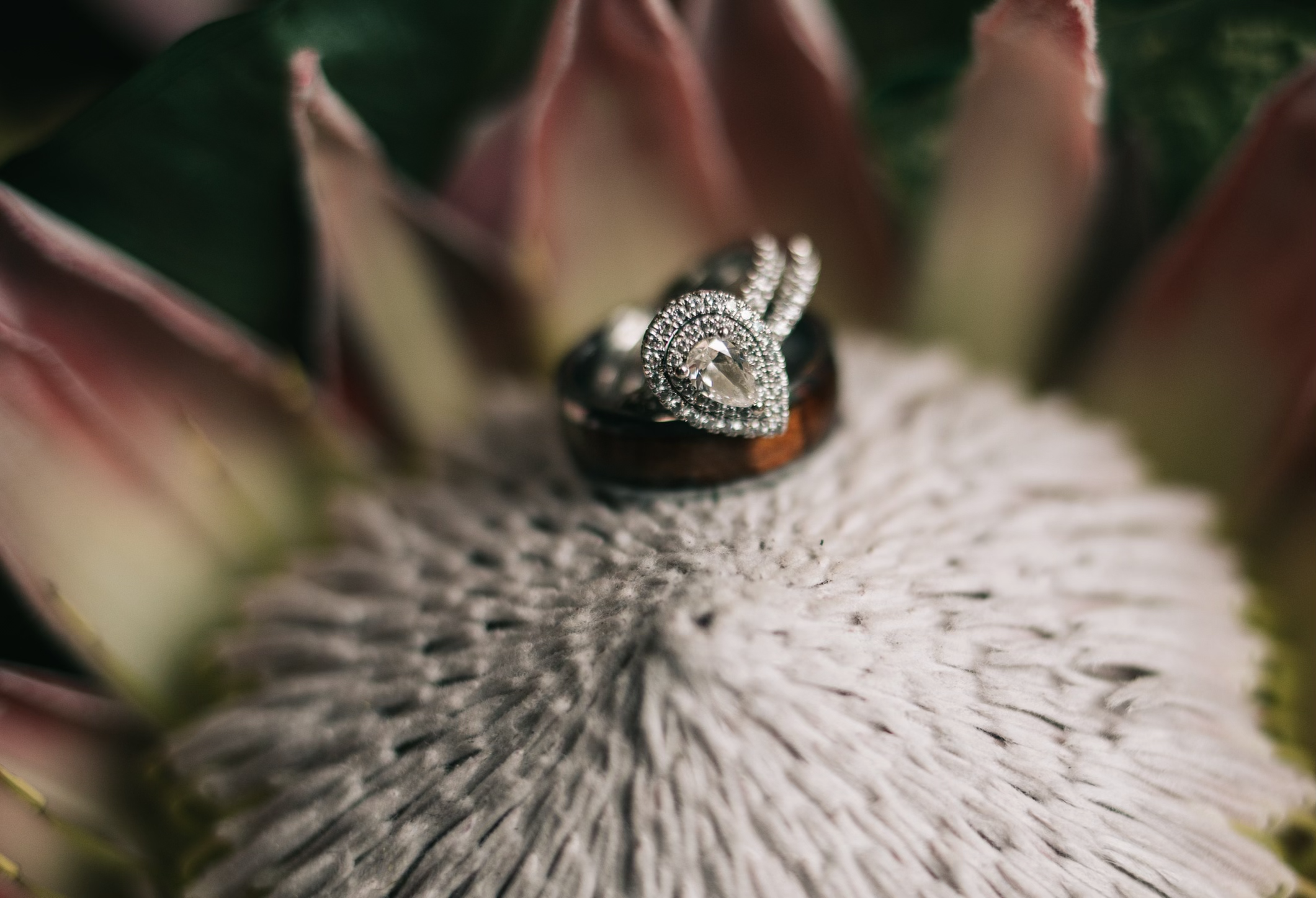 Galveston wedding photographer 