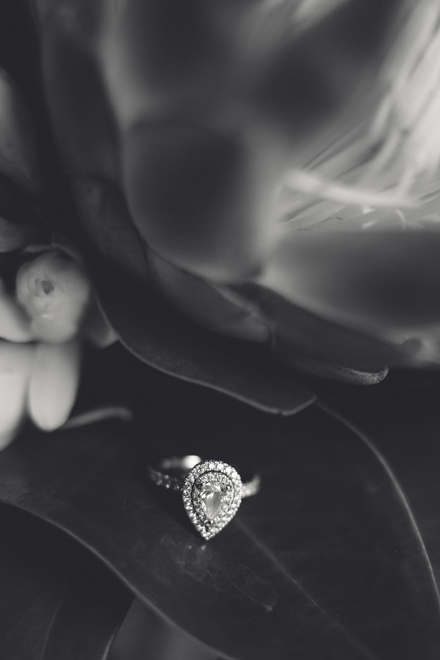 Houston-based wedding photographer