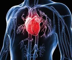 Heart Rate Variability (HRV)?