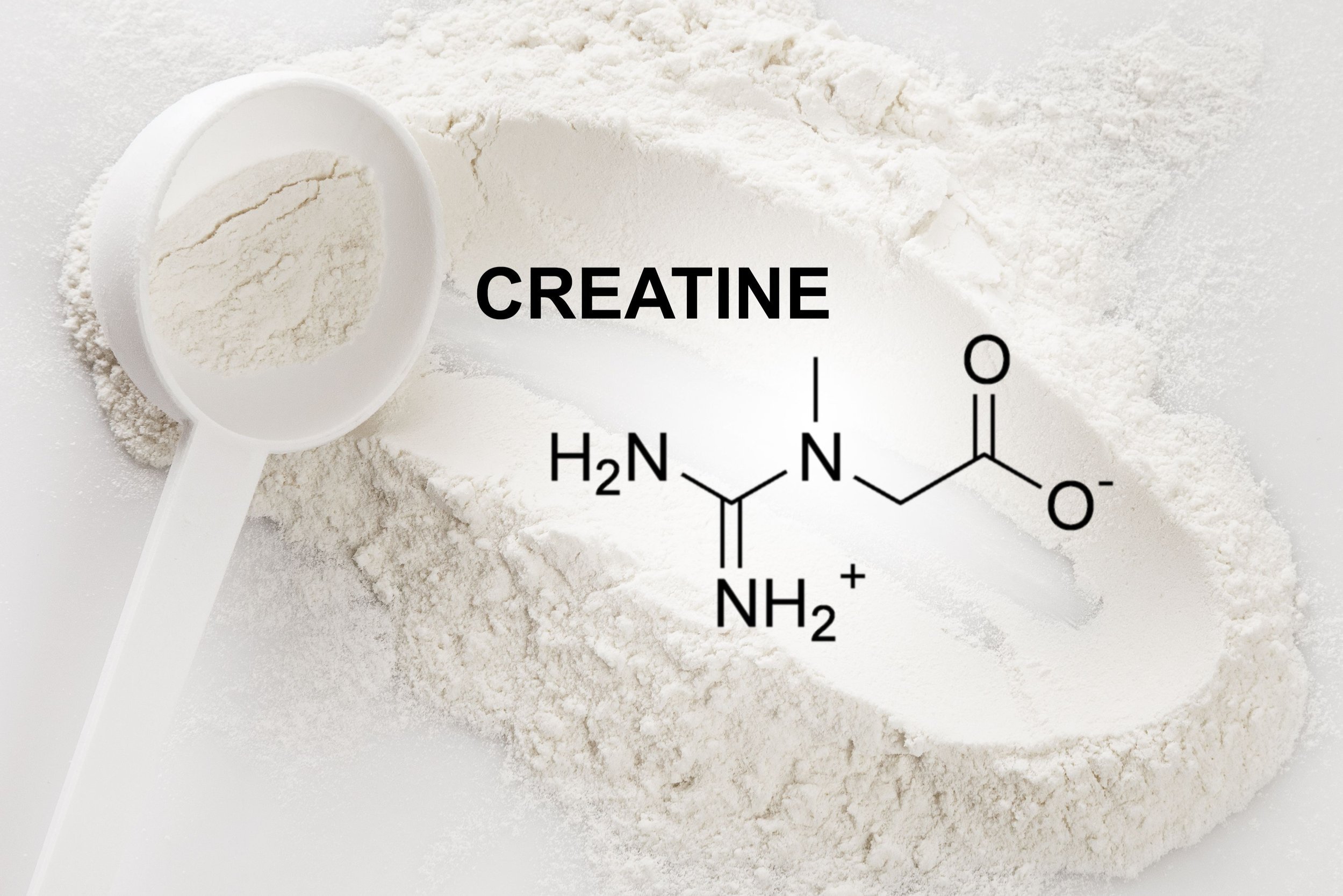 Creatine for Older Adults