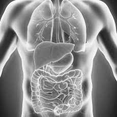 Healthspan Part 7: Non-Alcoholic Fatty Liver Disease (NAFLD) and Exercise: Exploring the Path to Improved Healthspan