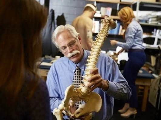 Flexion Isn’t the Enemy: What Most People Get Wrong About the Spine