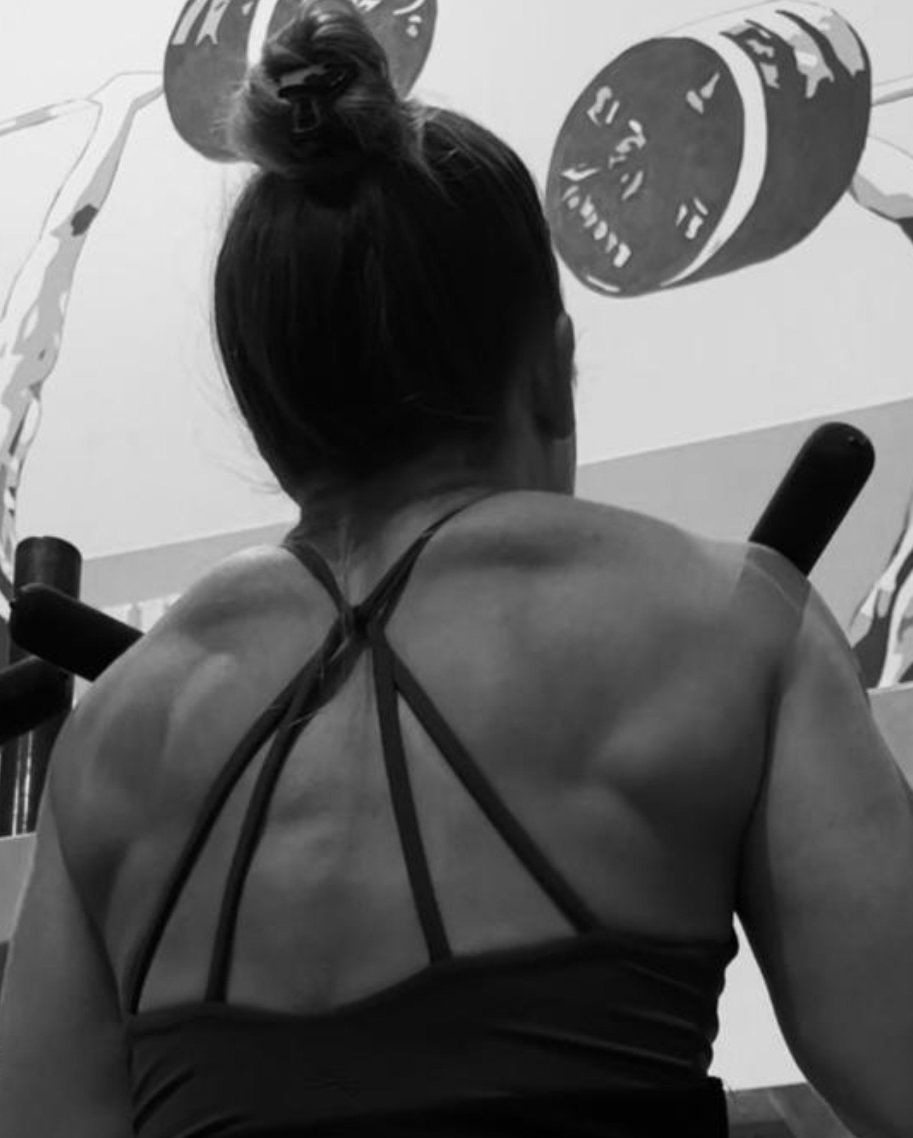 Weightlifting equipment with two stacks of black weight plates labeled 'ELEIKO' and '5,' attached to metal bars, and two additional smaller weight plates lying on a wooden floor.
