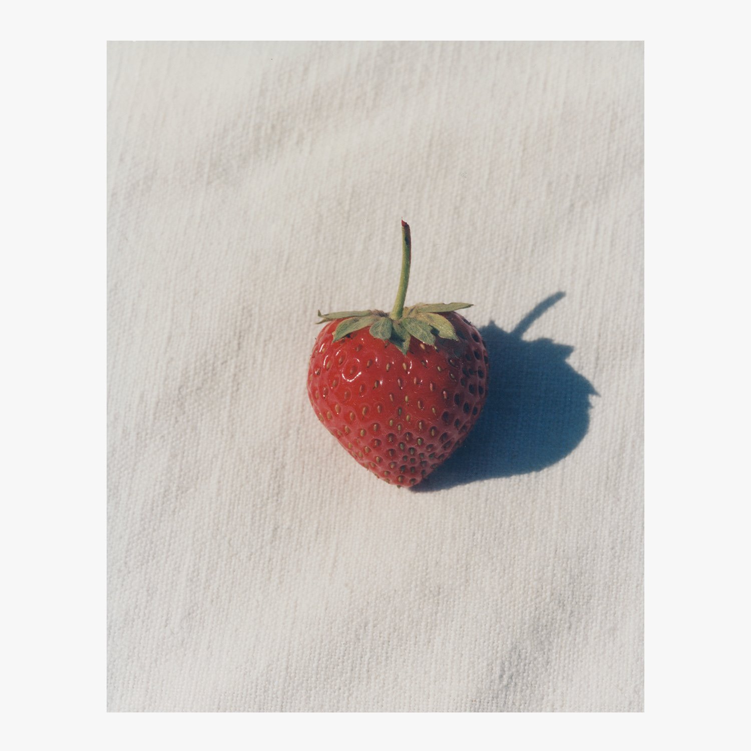 STRAW02.jpg