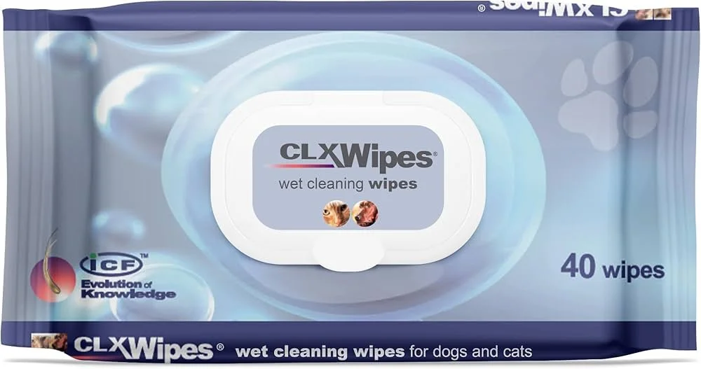 clx wipes.jpg (Copy)