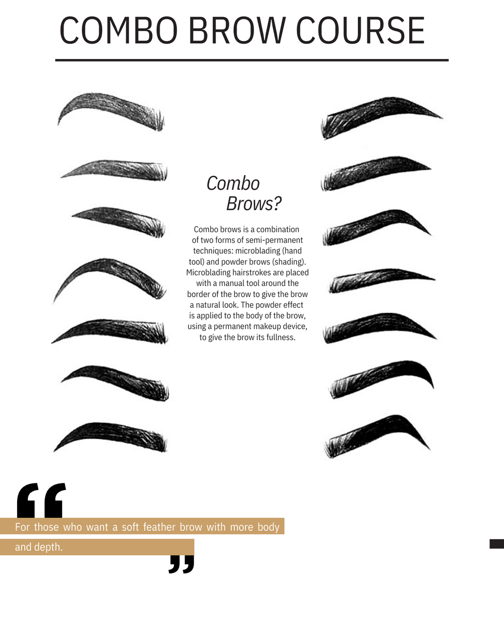 PIXEL PERFECT POWDER BROWS COURSE - AE STUDIO