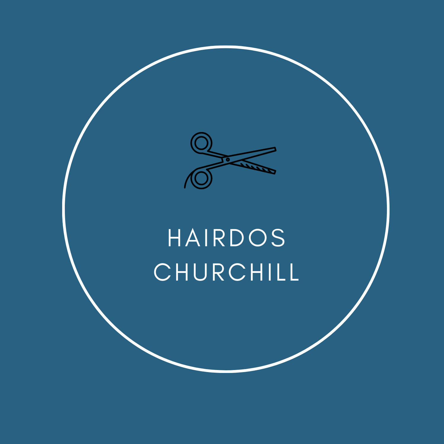 hairdos logo 2.png