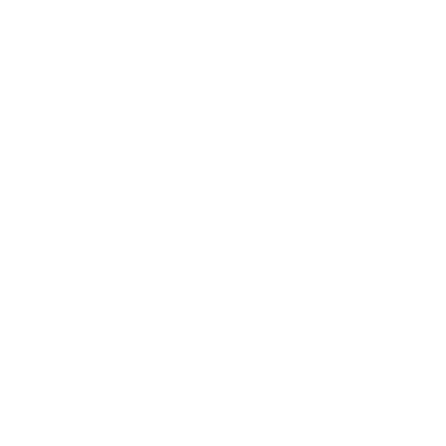 RS BLACKHAWK