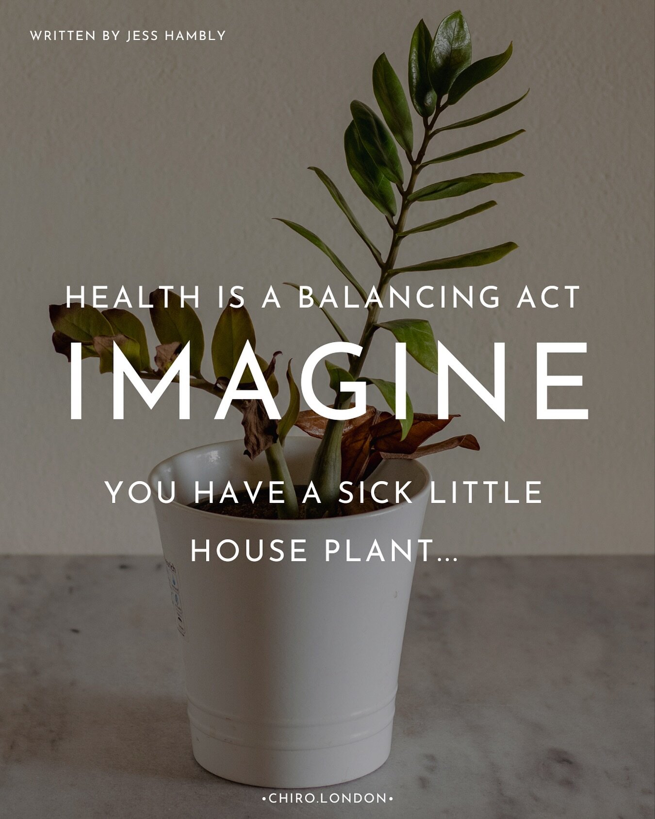 Imagine you have a sick little house plant. Its drooping the leaves are brown. What would you do? 🥀

Perhaps you&rsquo;d give it some more water. But it&rsquo;s still dropping and sad, does that mean water didn&rsquo;t help? 

You didn&rsquo;t ferti