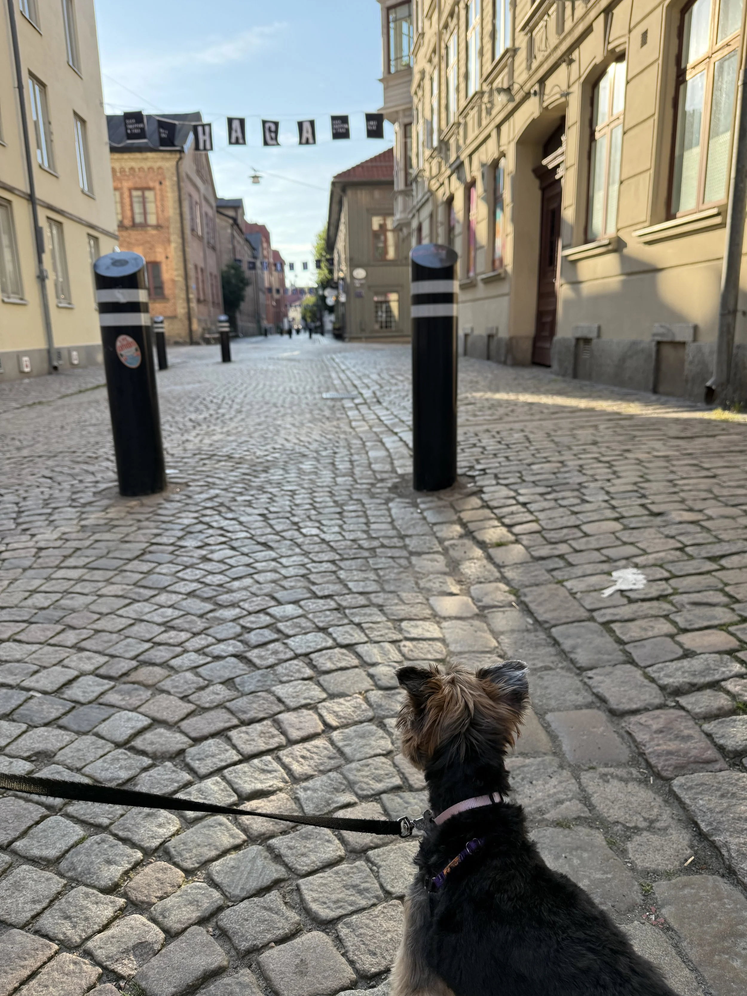 Xena walking in Haga