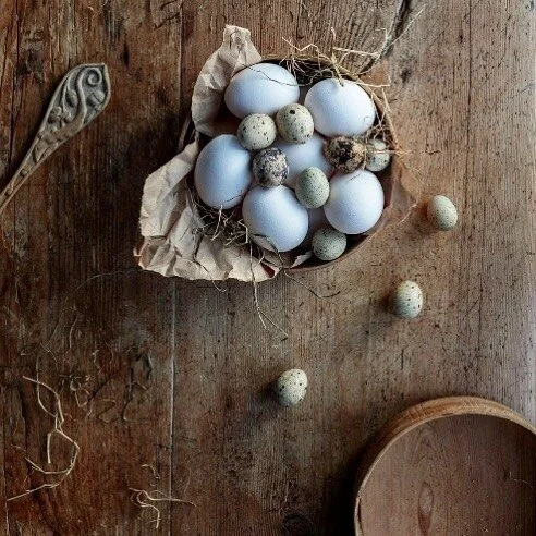 GOD P&Aring;SKE 🐣 i &aring;r sm&oslash;rer vi med p&aring;skeegg, hvitvin og sunnm&oslash;rsk luft.  #tbt foto for @storfjordhotel @62nord #luxurythenorwegianway #easter
