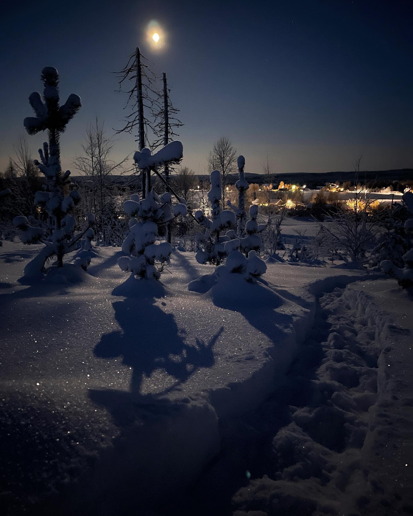 I brist p&aring; b&auml;rande skotersp&aring;r s&aring; f&aring;r man helt enkelt ta saken i egna h&auml;nder och anl&auml;gga s&auml;rskilda fatbikeleder. Med inspiration fr&aring;n &Ouml;stersunds fatbike-entusiaster s&aring; har sn&ouml;skorna &ar