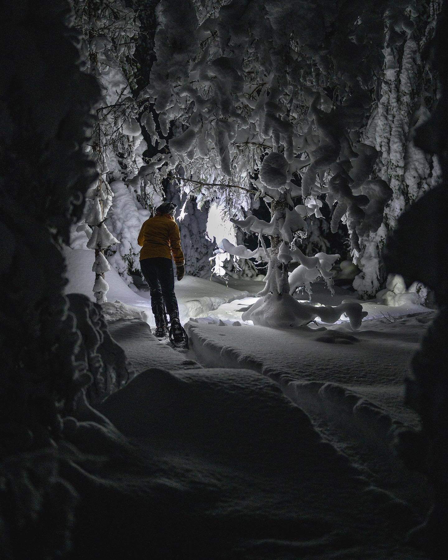 L&ouml;rdagens avslut fick bli en frisk sn&ouml;skovandring i norrskenet och samtidig f&ouml;rb&auml;ttring av det nya fatbikesp&aring;ret. Det h&auml;r blir MUMMA! 😄⁠⠀Spoiler alert: s&ouml;ndagens test var ytterst gentilt och film p&aring; det komm