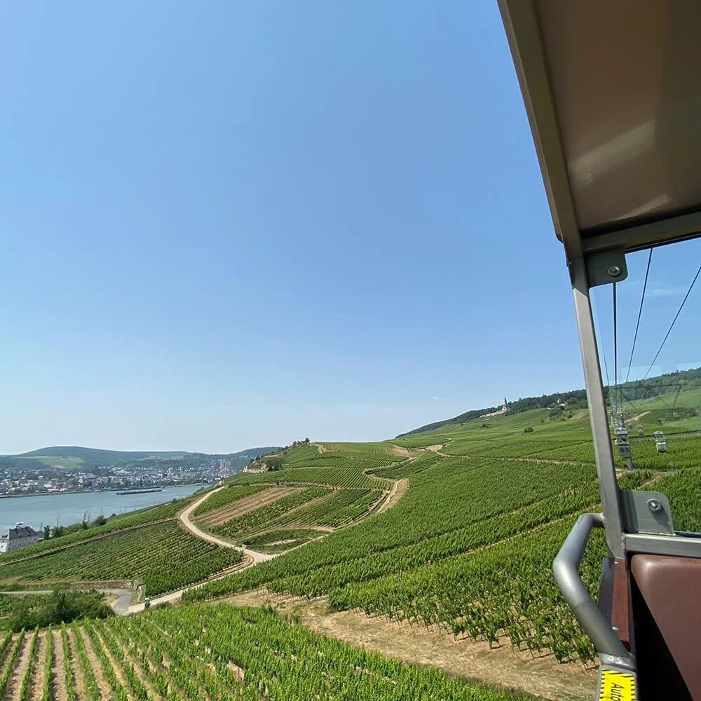 Float over the vines on the cable car