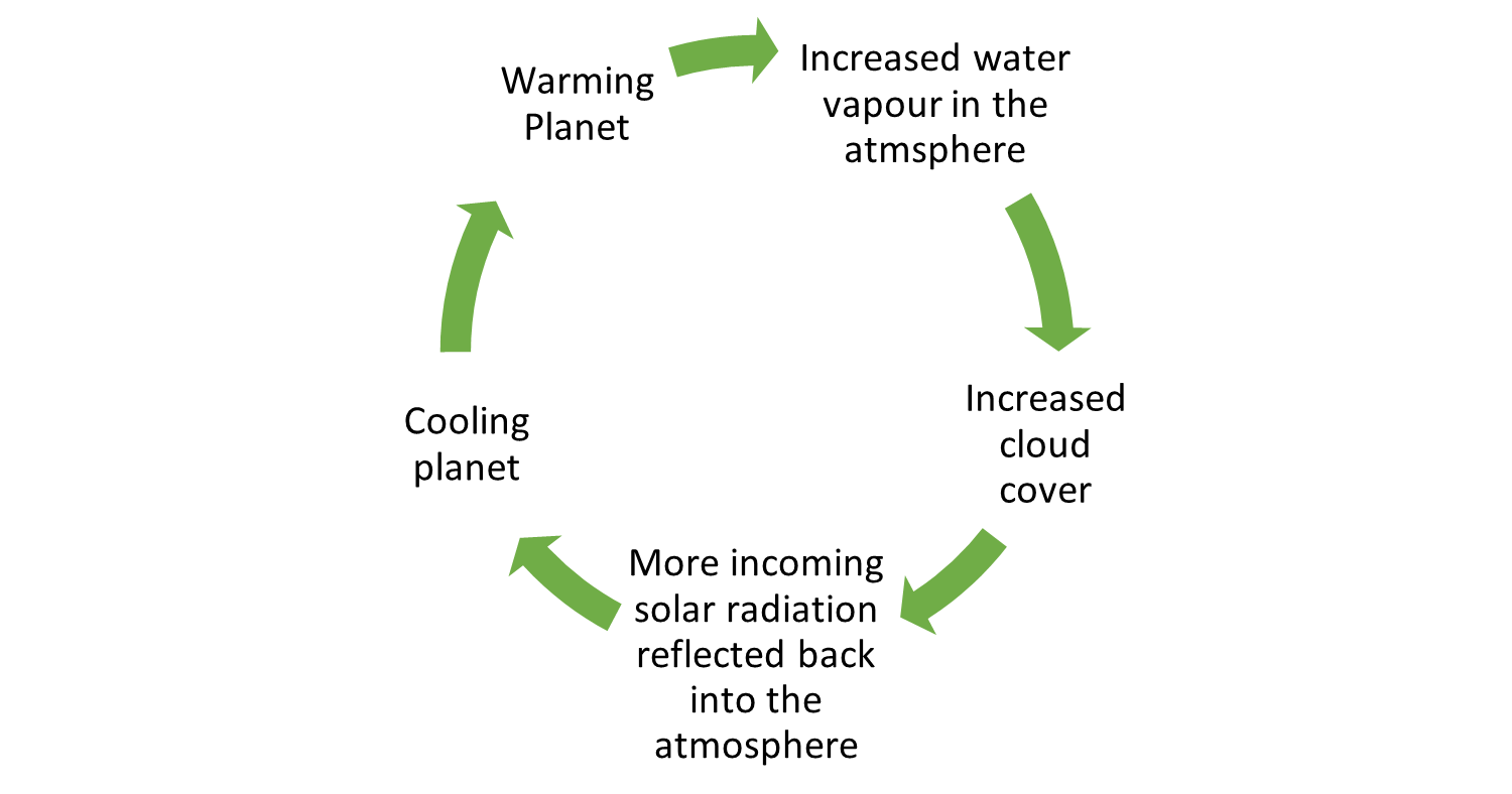 feedback loop examples