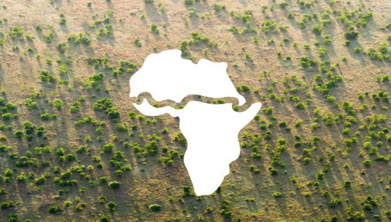 Africa’s Great Green Wall