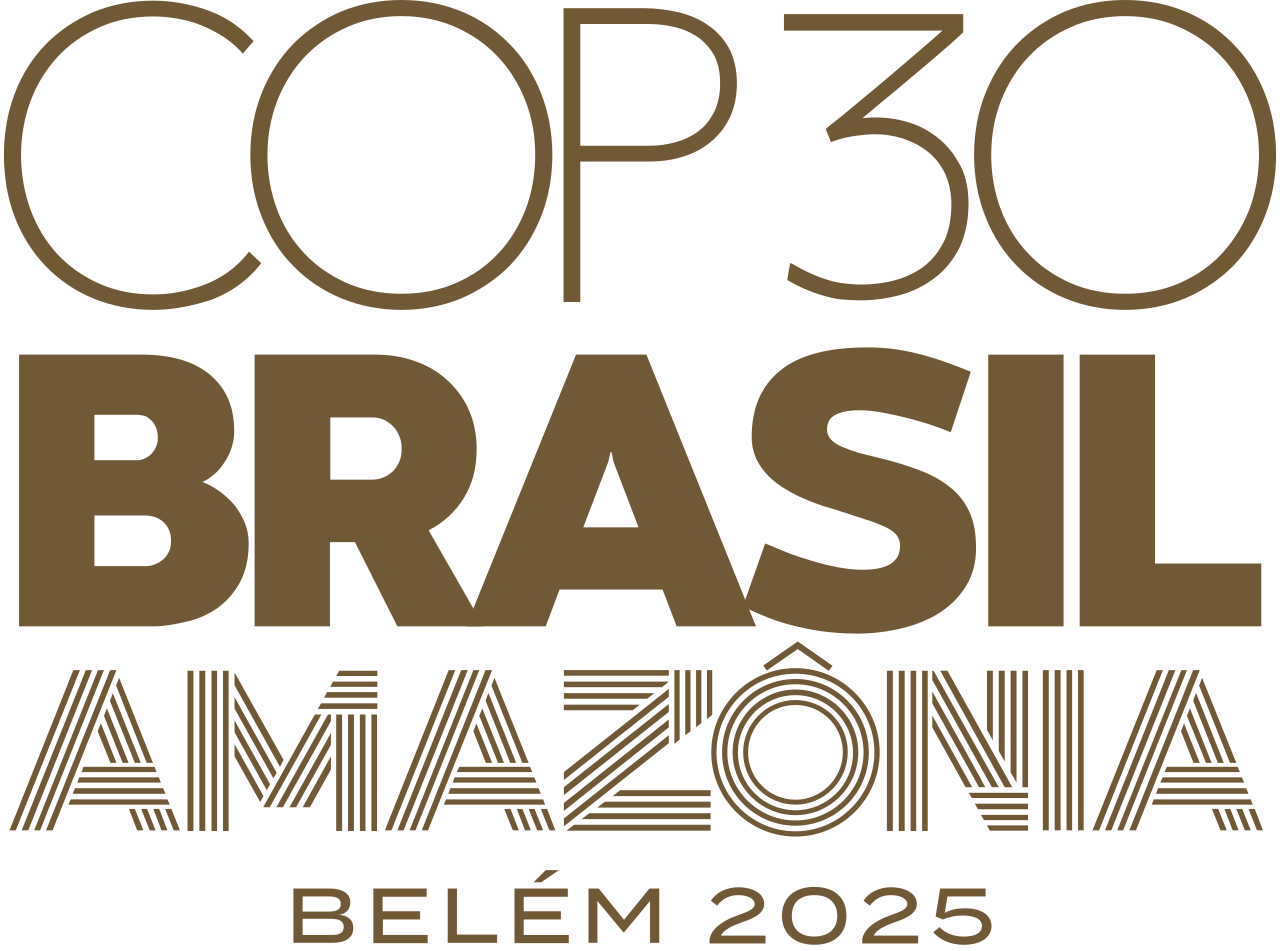 COP30 Focus: Implementation