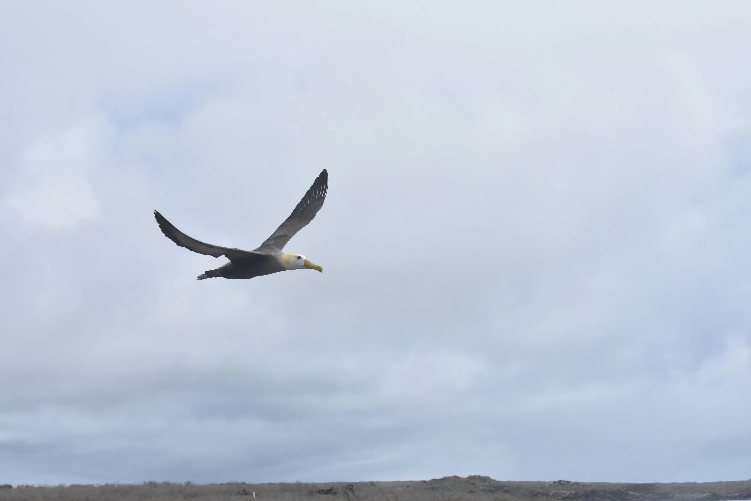 DSC_0845.JPG