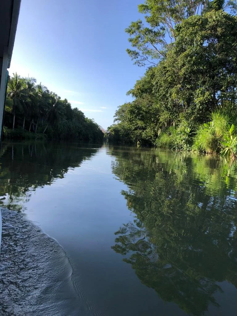 Bosque de las Madres river.jpeg