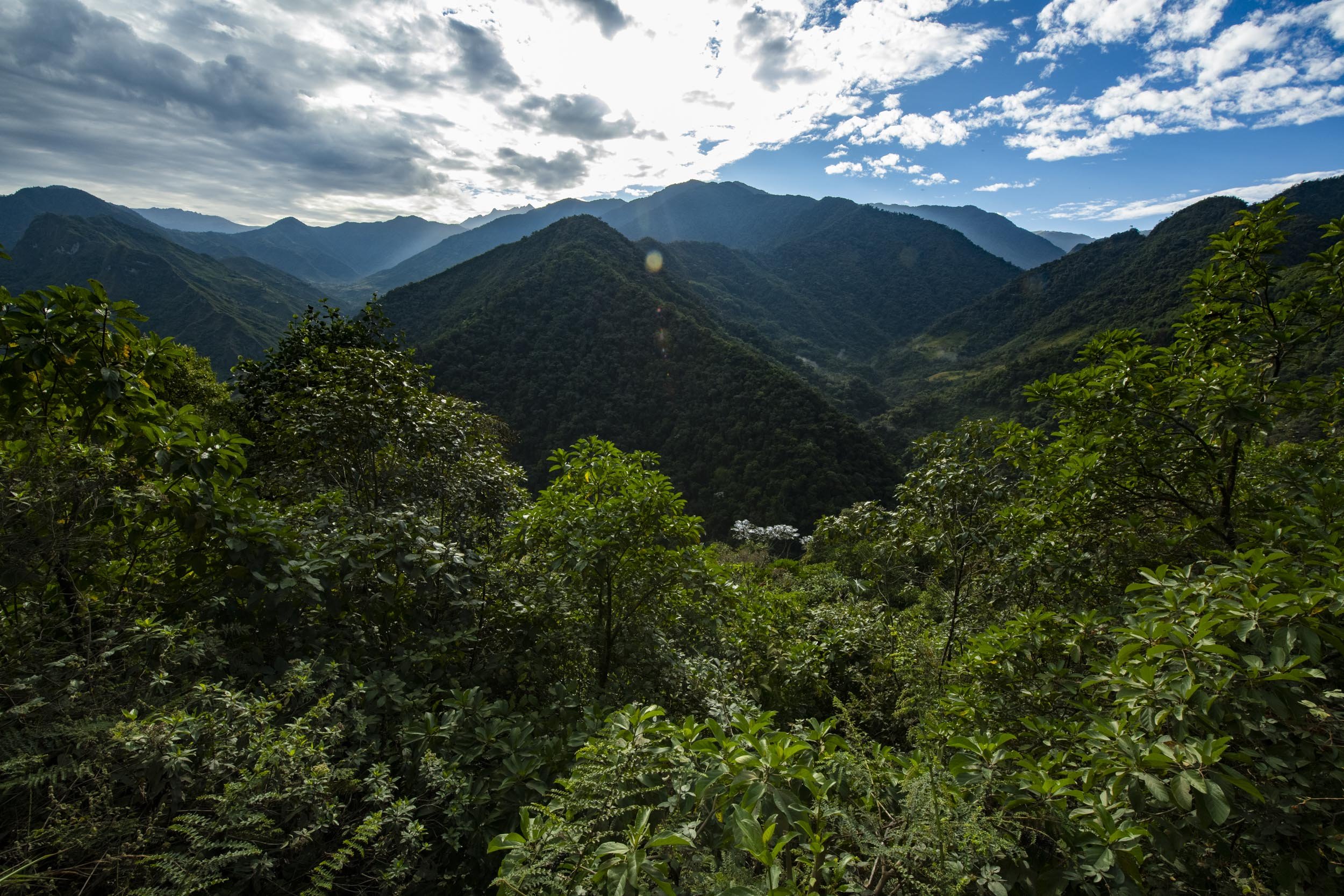 Neblina South_ MurrayCooper.JPG