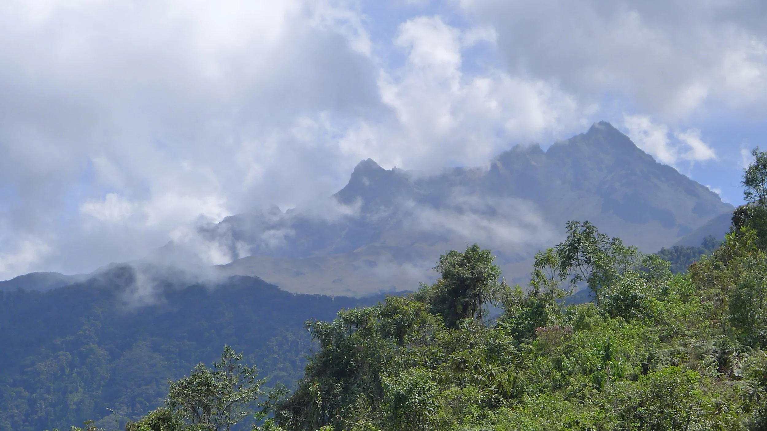 Neblina_towards CotacachiCayapas.JPG