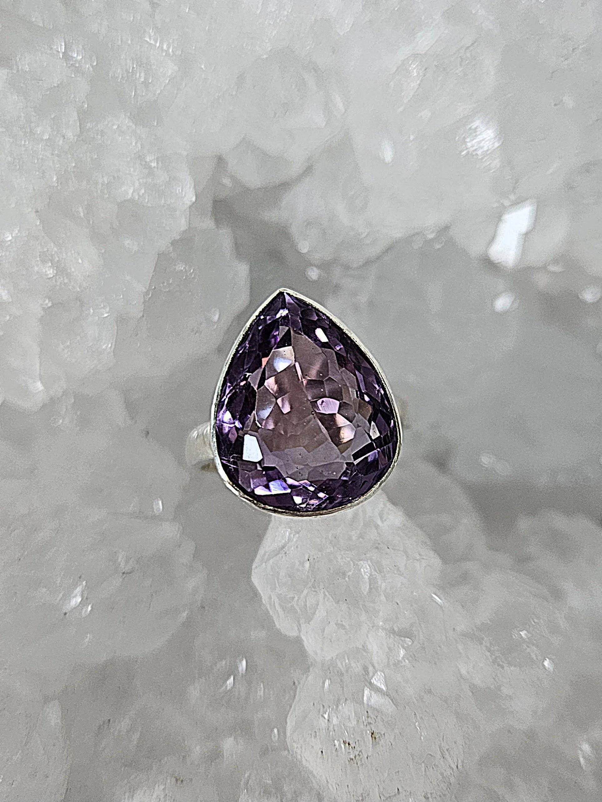 heliotrope 2.jpg