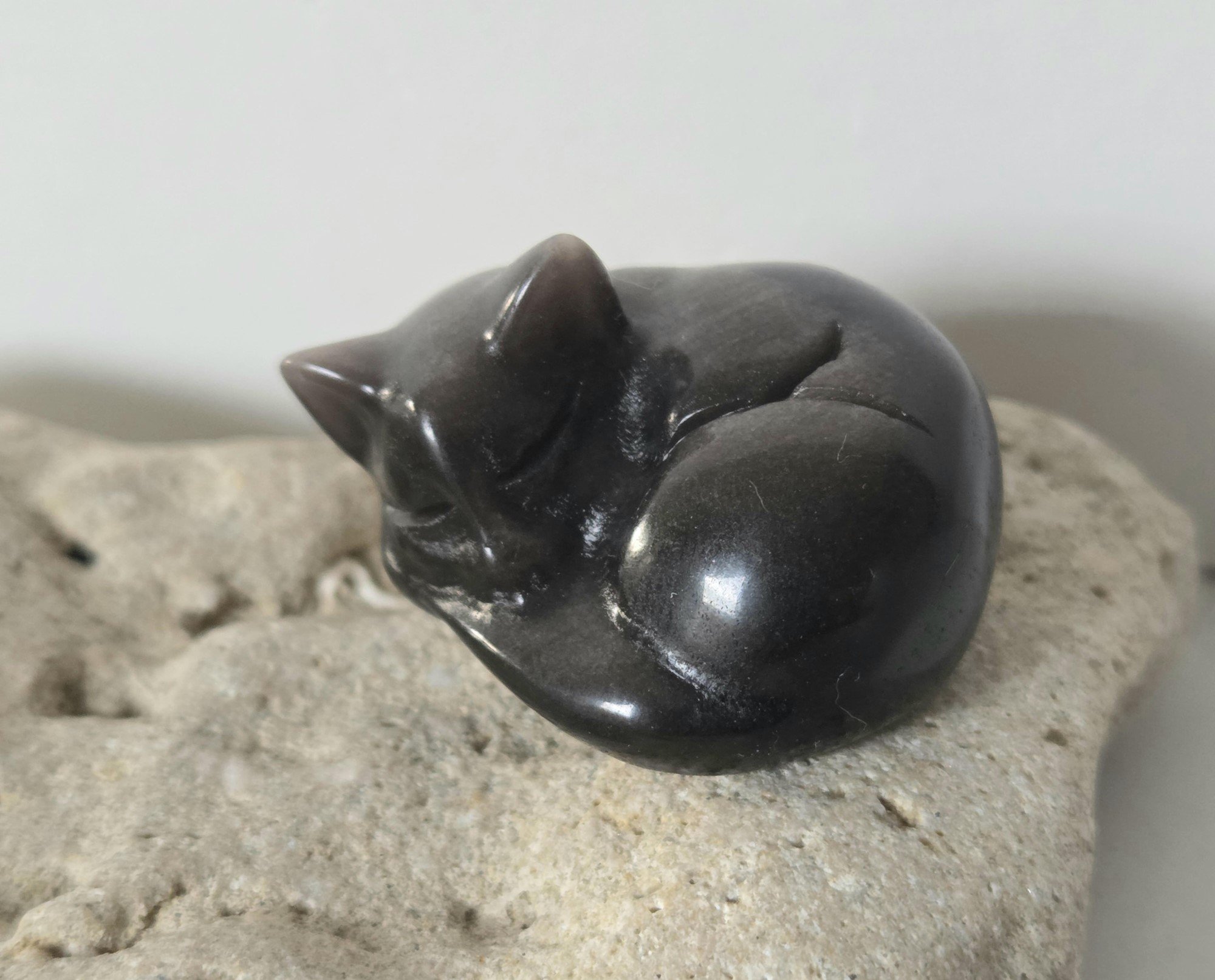 Cat 3.jpg (Copy)