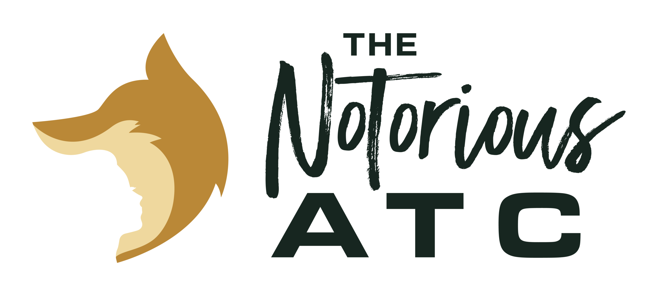 NotoriousATC-01.png