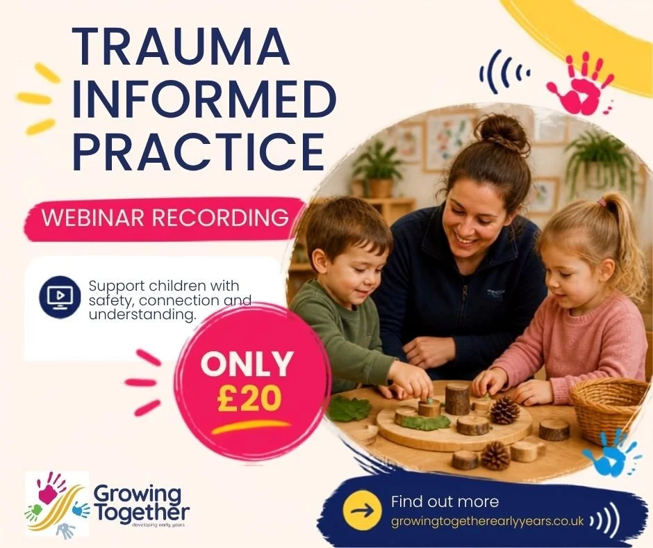 Trauma Informed Practice in the Early Years