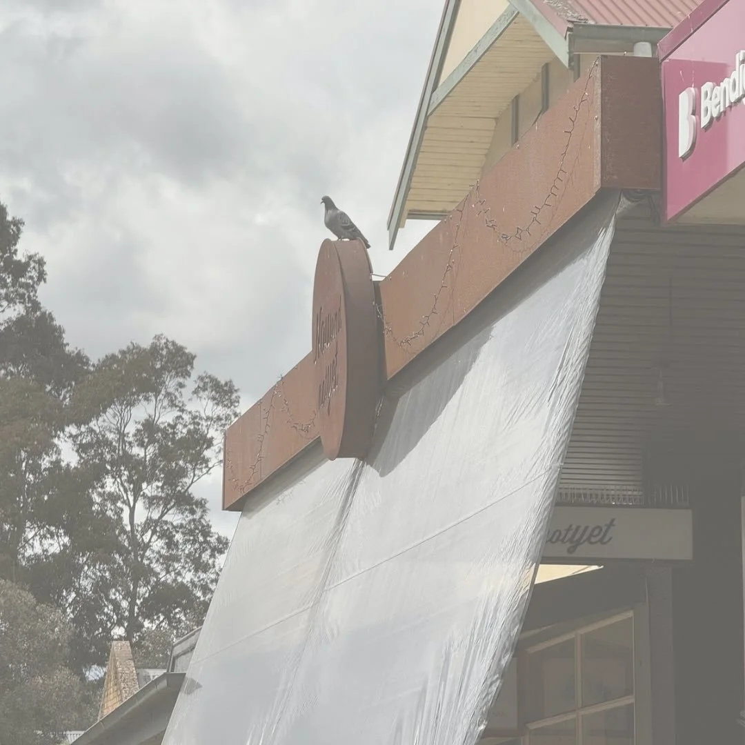 It seems the pigeons of Warrandyte have taken claim as the towns protectors&hellip;