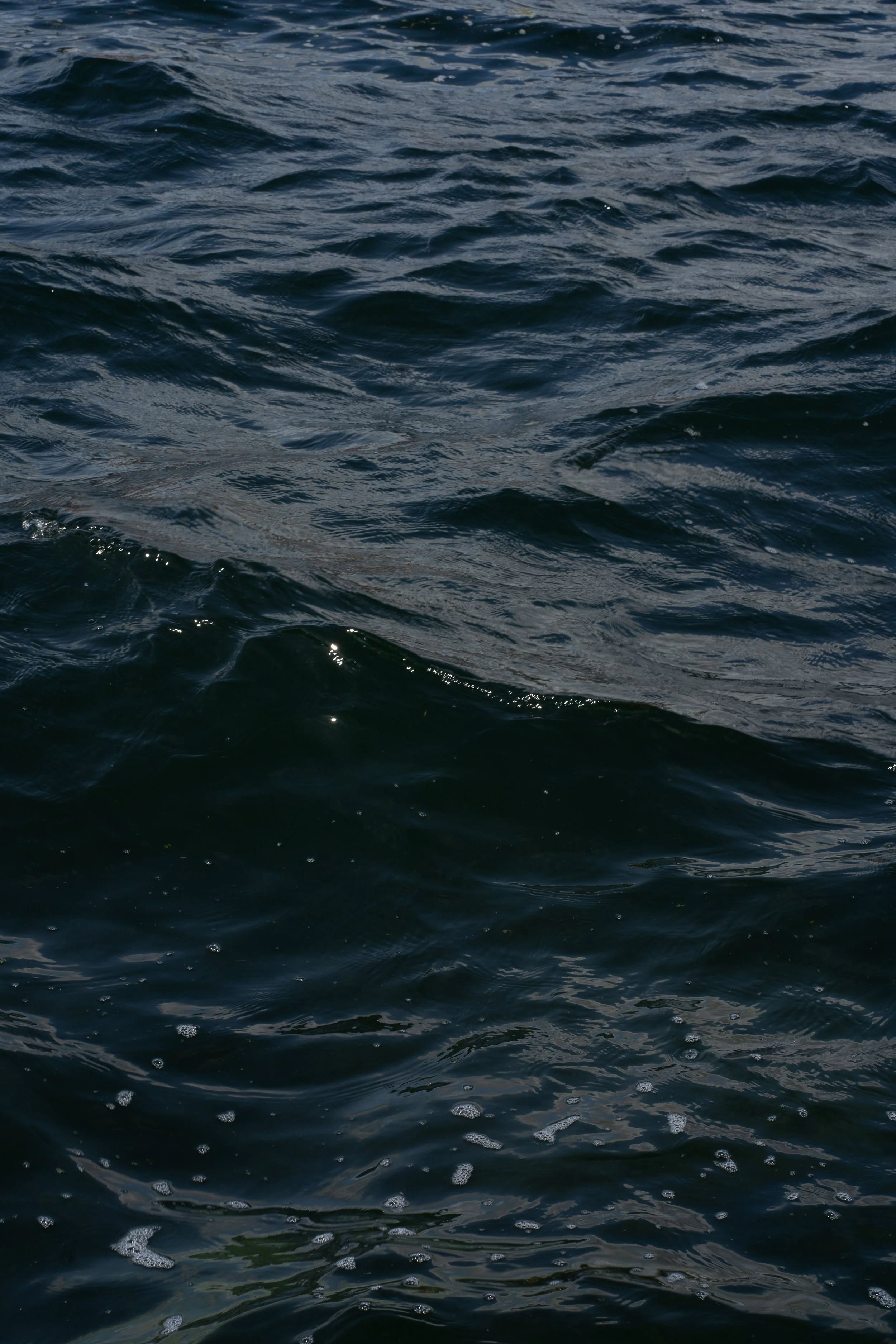 Schweden_DSC03537_Viola Bender 2025.jpg