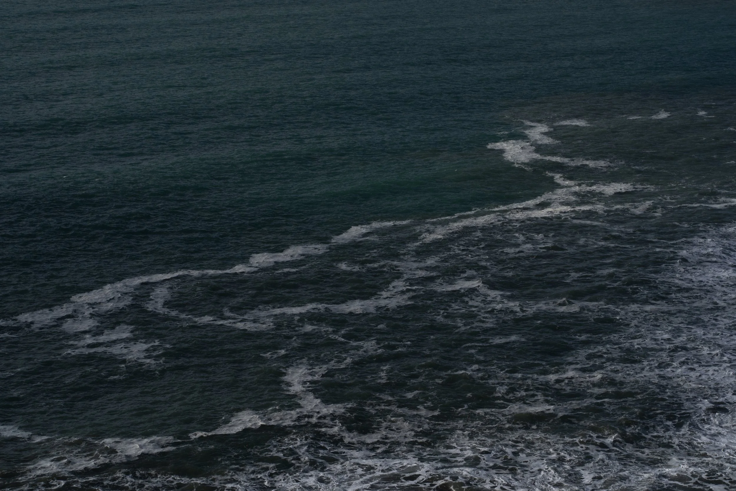 Coast Cork_DSC03602_Viola Bender.jpg