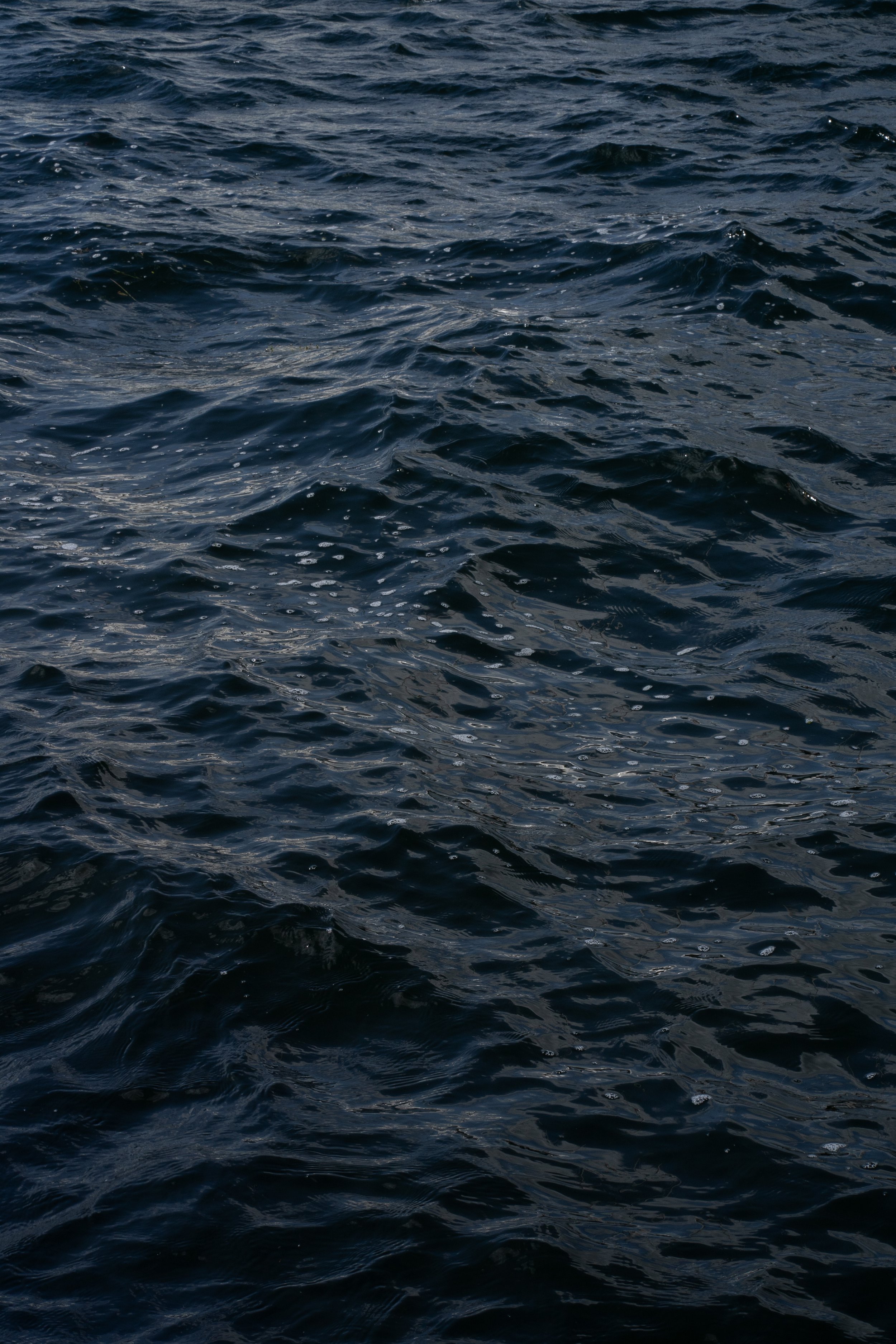 Schweden_DSC03568_Viola Bender 2025.jpg