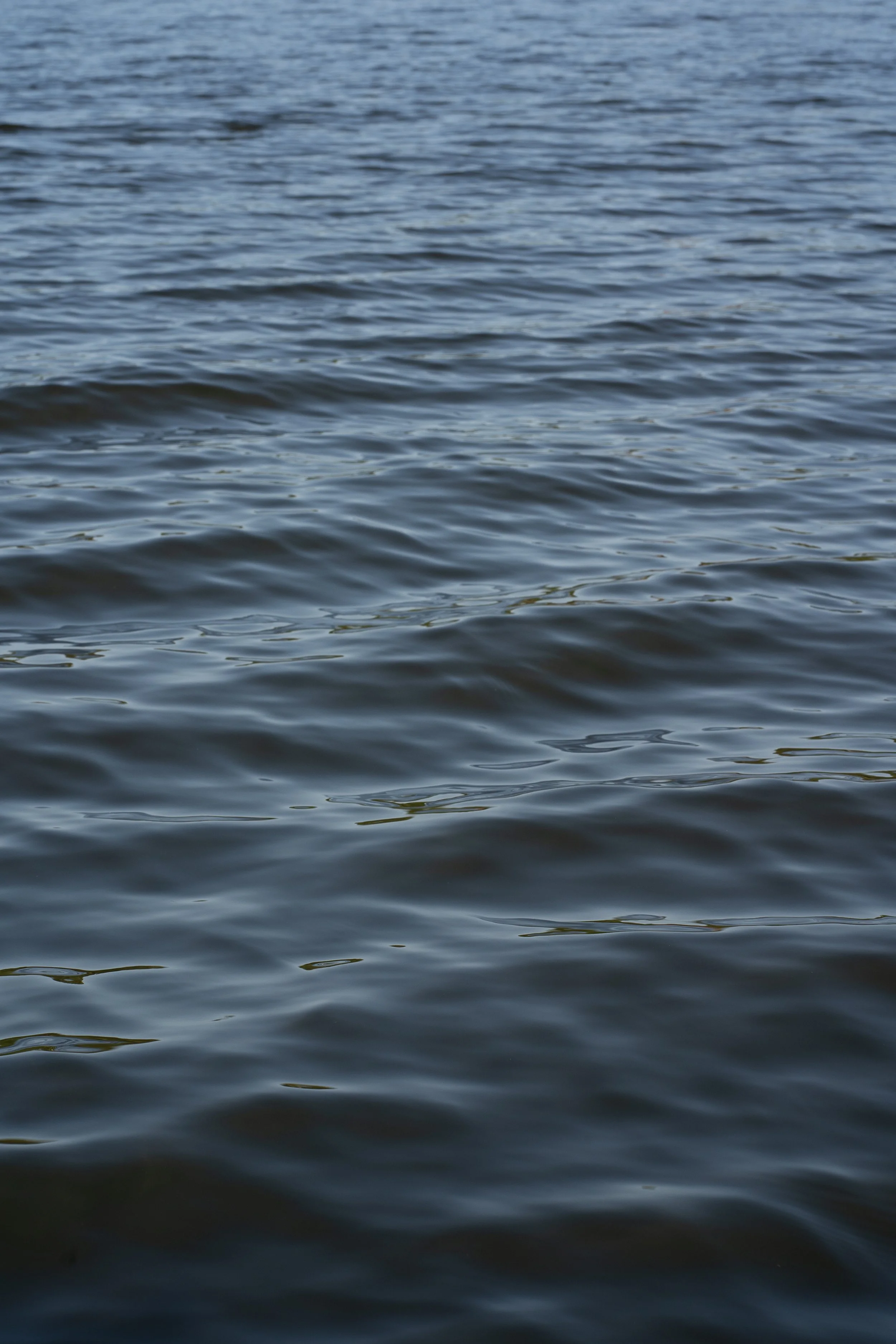 Schweden_DSC03392_Viola Bender_2025.jpg