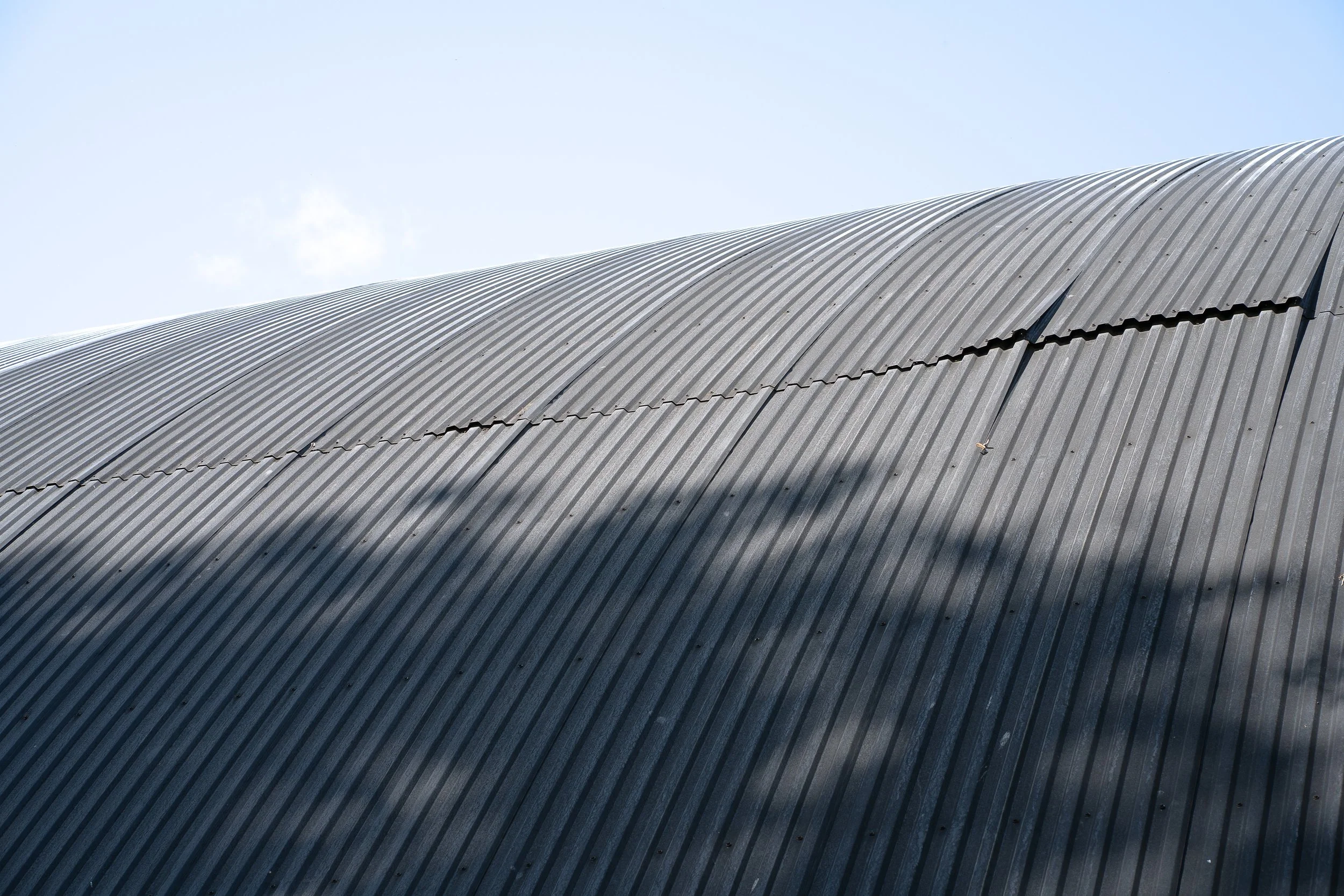 Uppsala_DSC03351_Viola Bender_2025.jpg