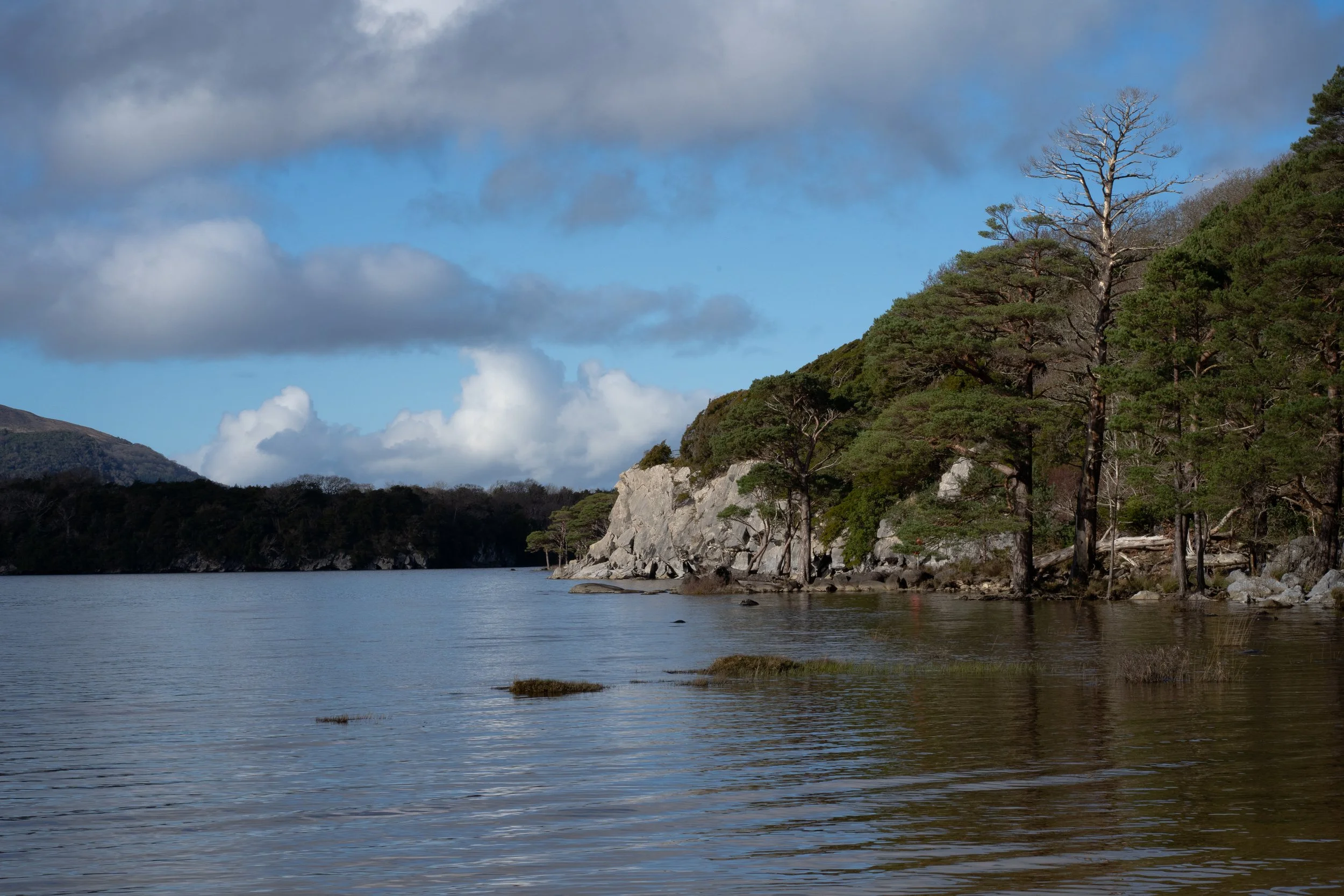 Killarney_DSC03681_Viola Bender.jpg