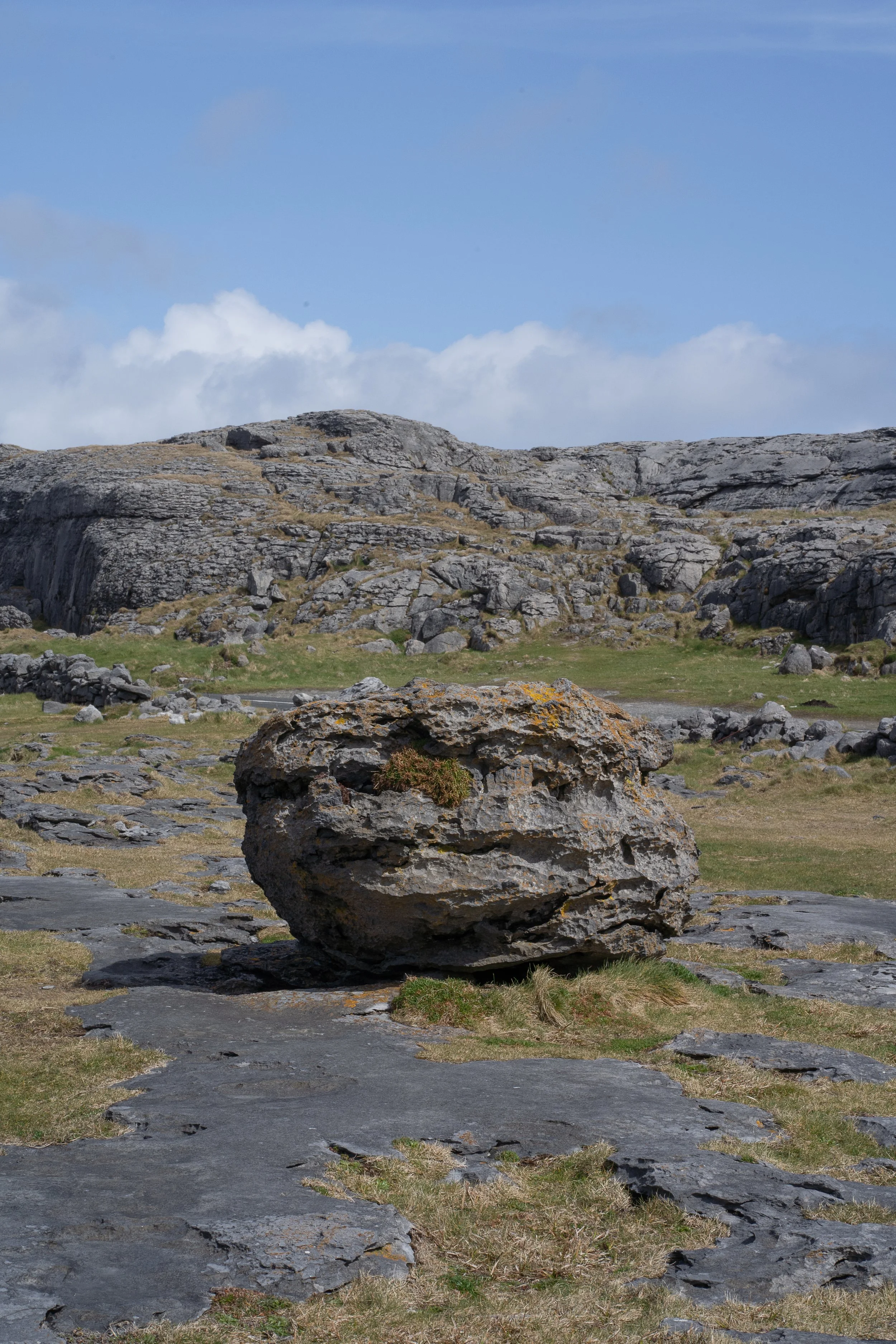 Burren_DSC03710_Viola Bender_2026.jpg