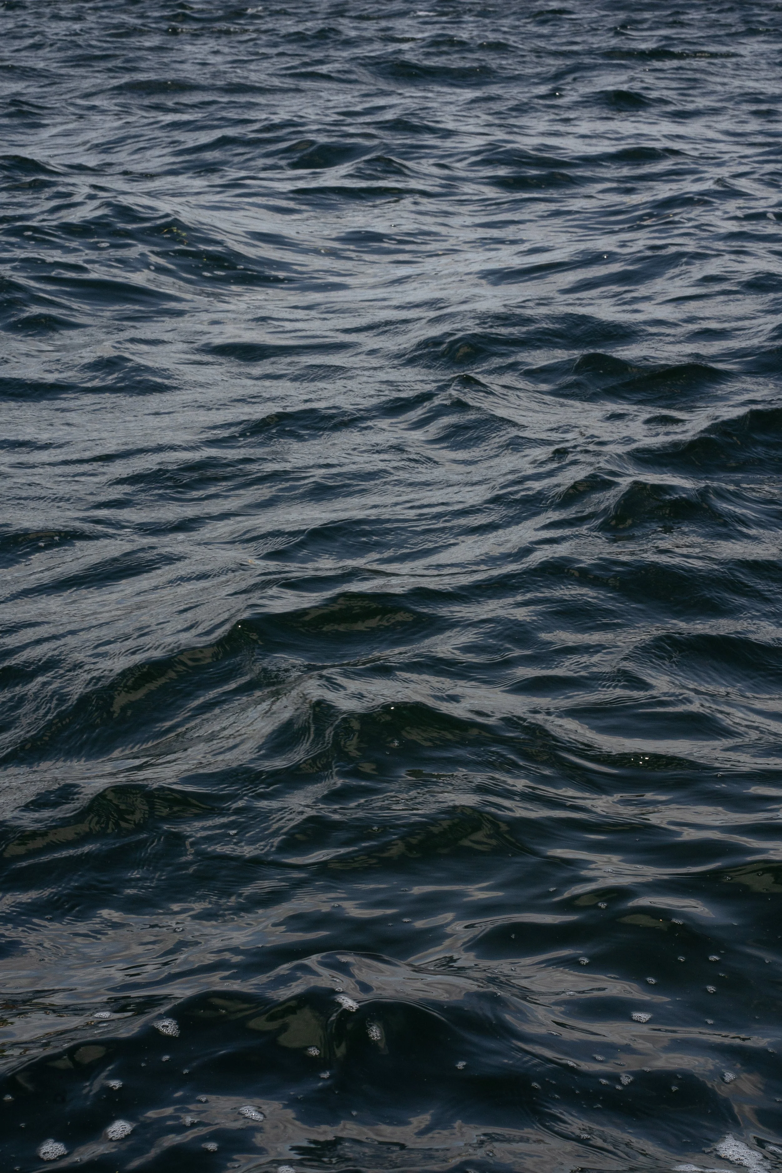 Schweden_DSC03552_Viola Bender 2025.jpg