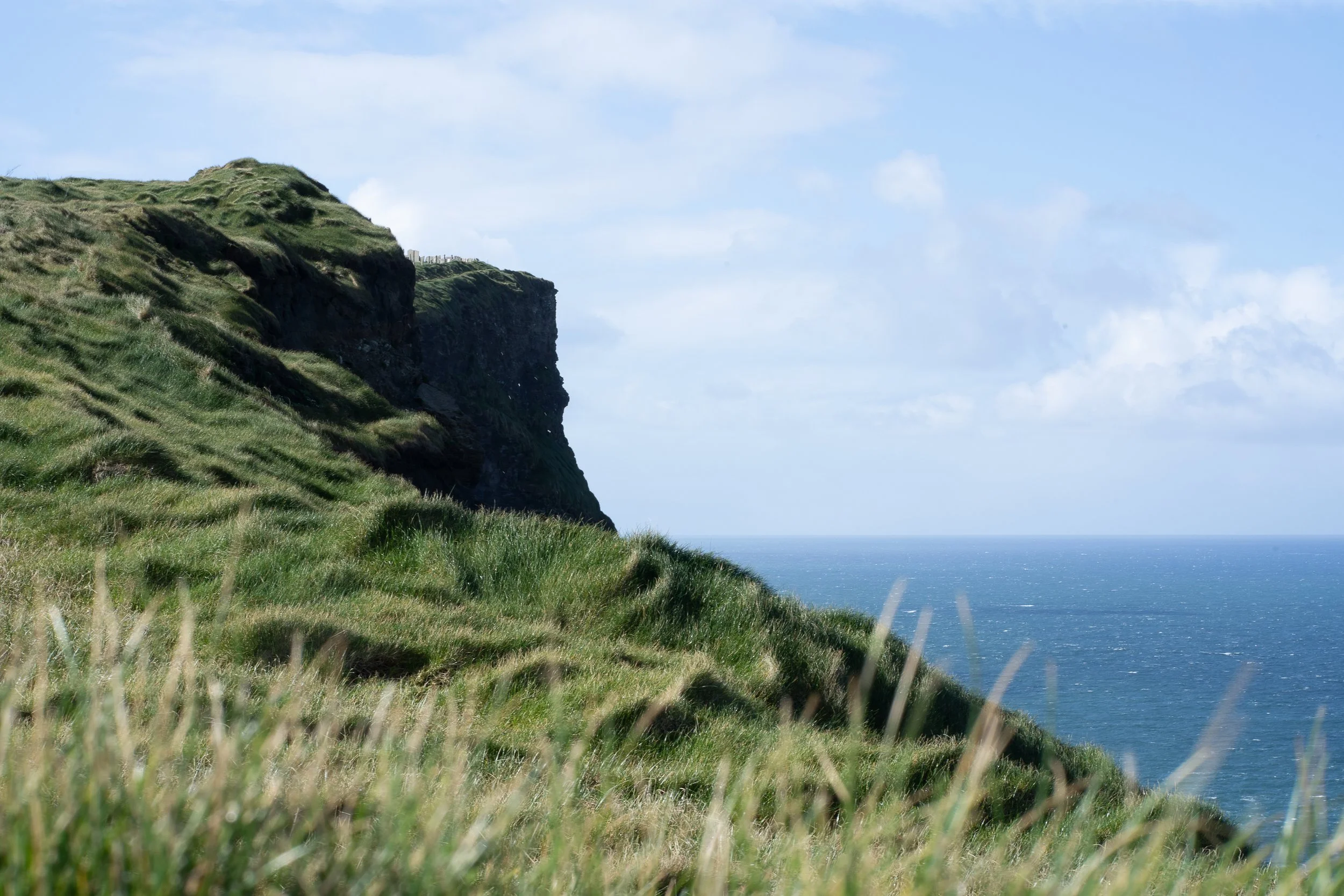 Moher_DSC03705_2026_Viola Bender.jpg