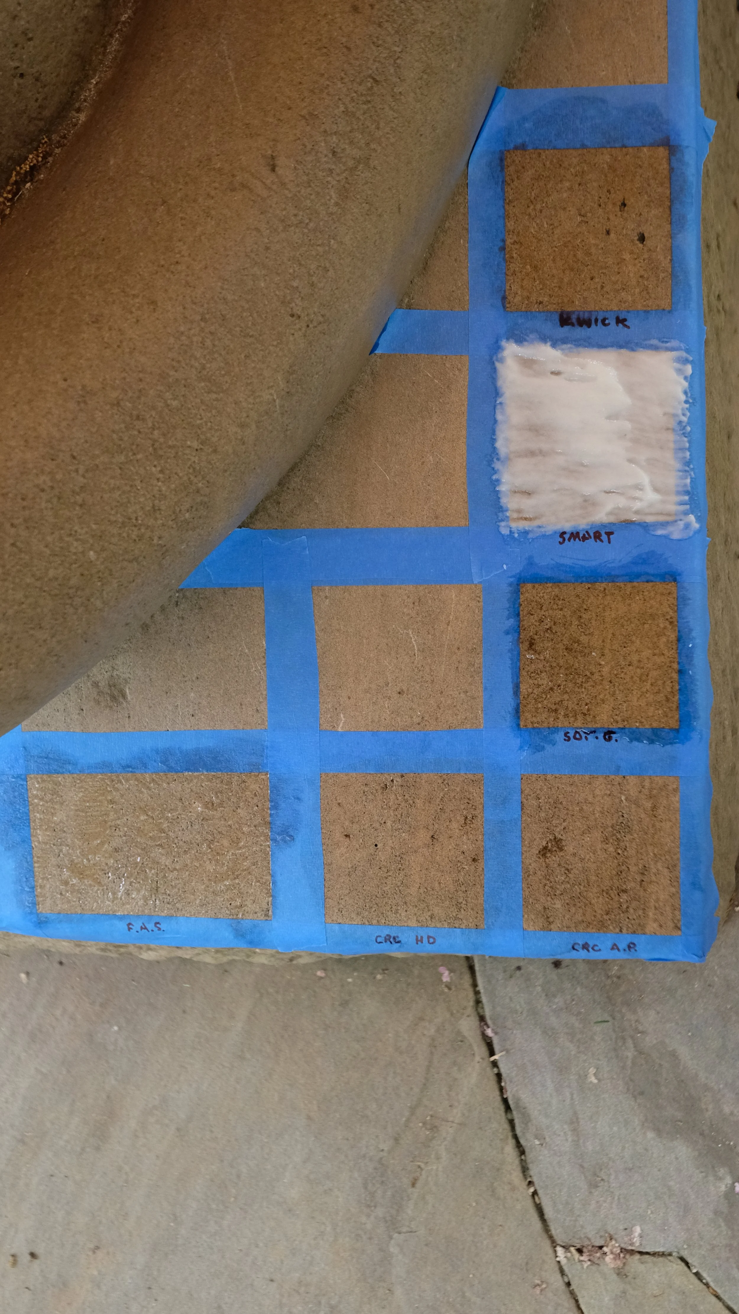 22.2 (1) Cleaning - Tests on Nittany Lion.JPG