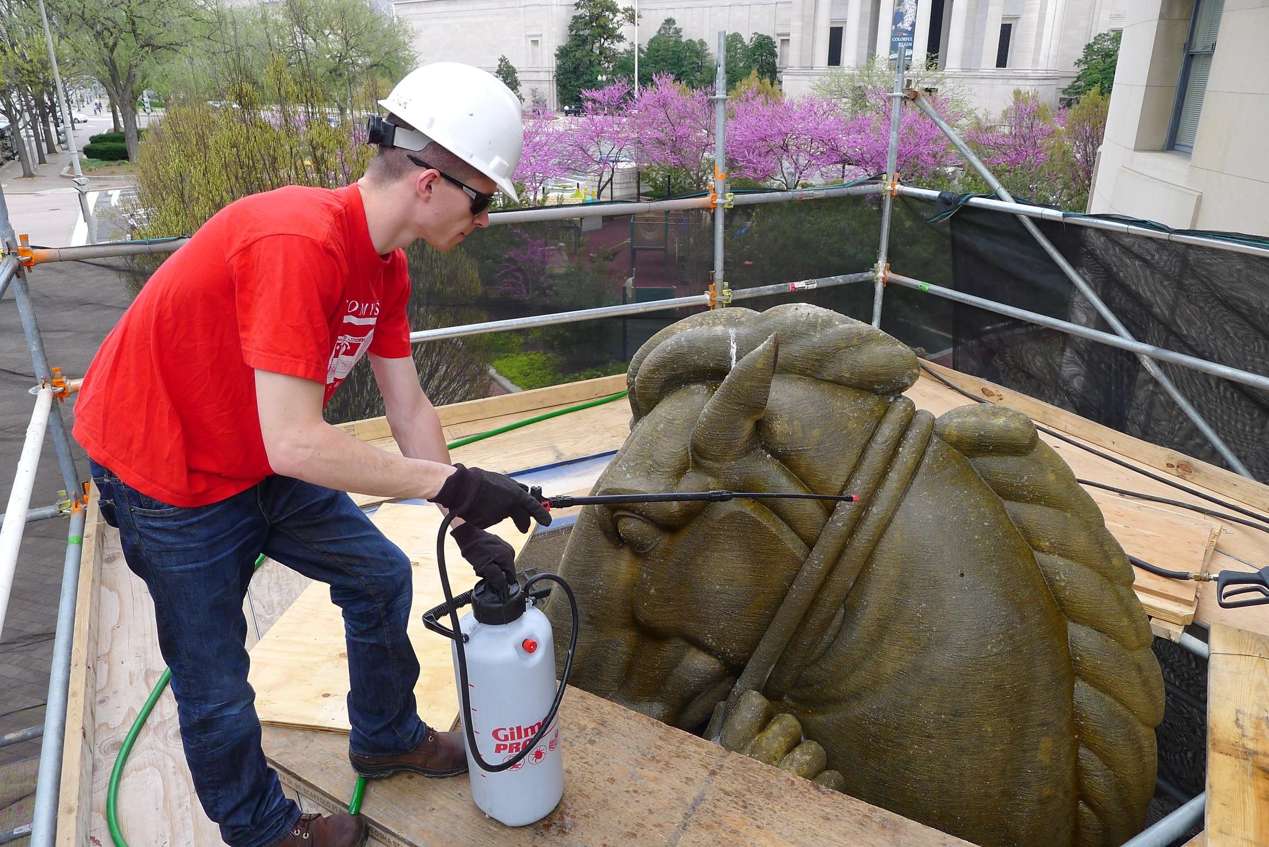 26 (2) Consolidation - FTC Horse.JPG