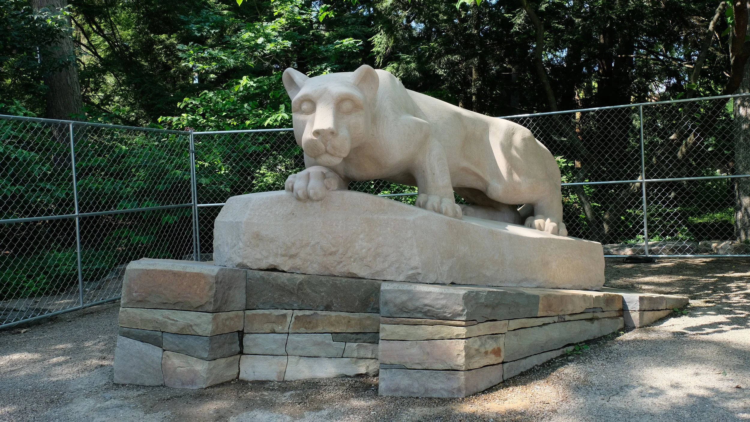 21 (1) Cleaning - Nittany Lion.JPG