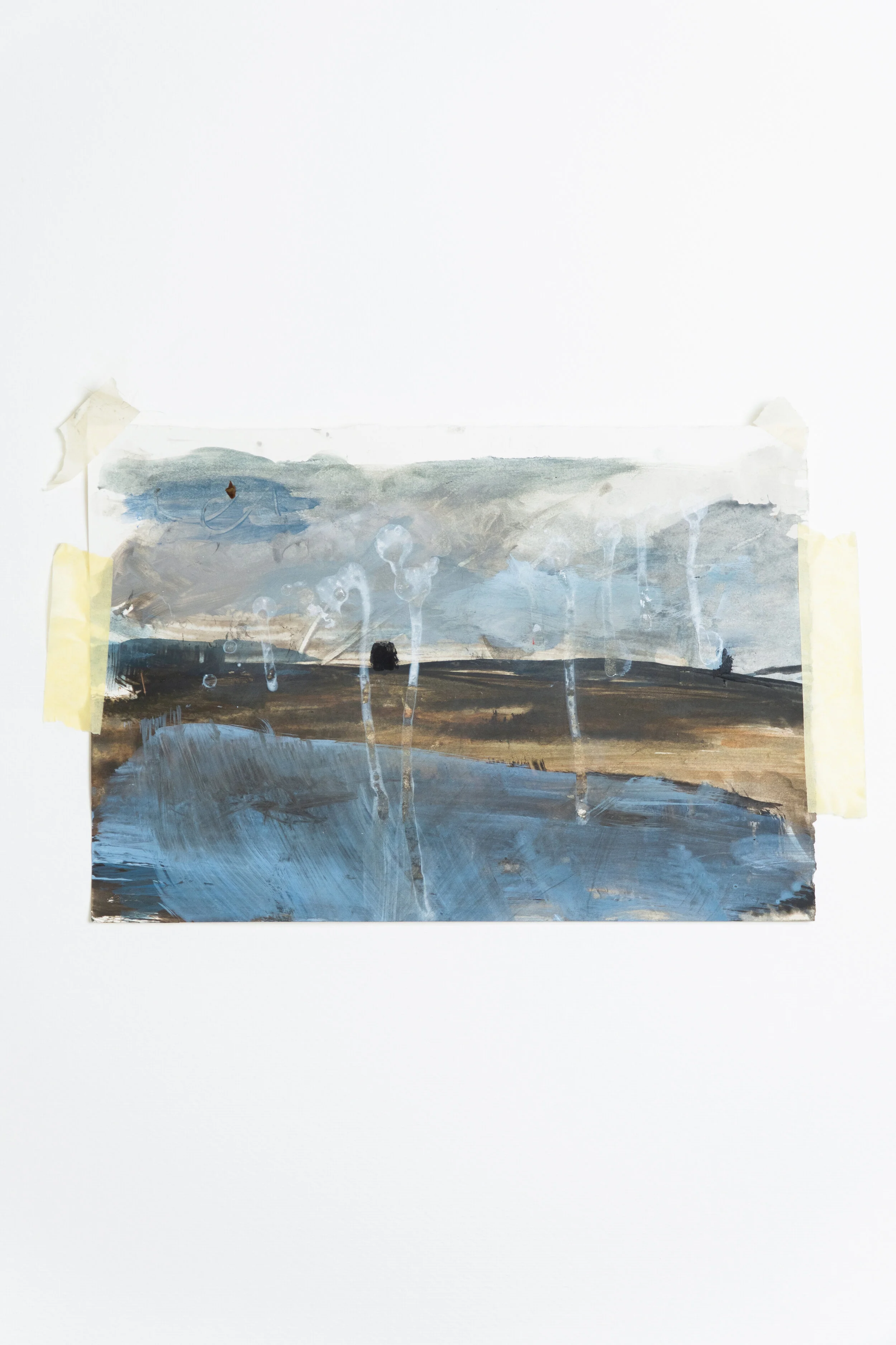 Allendale Moor (2018)