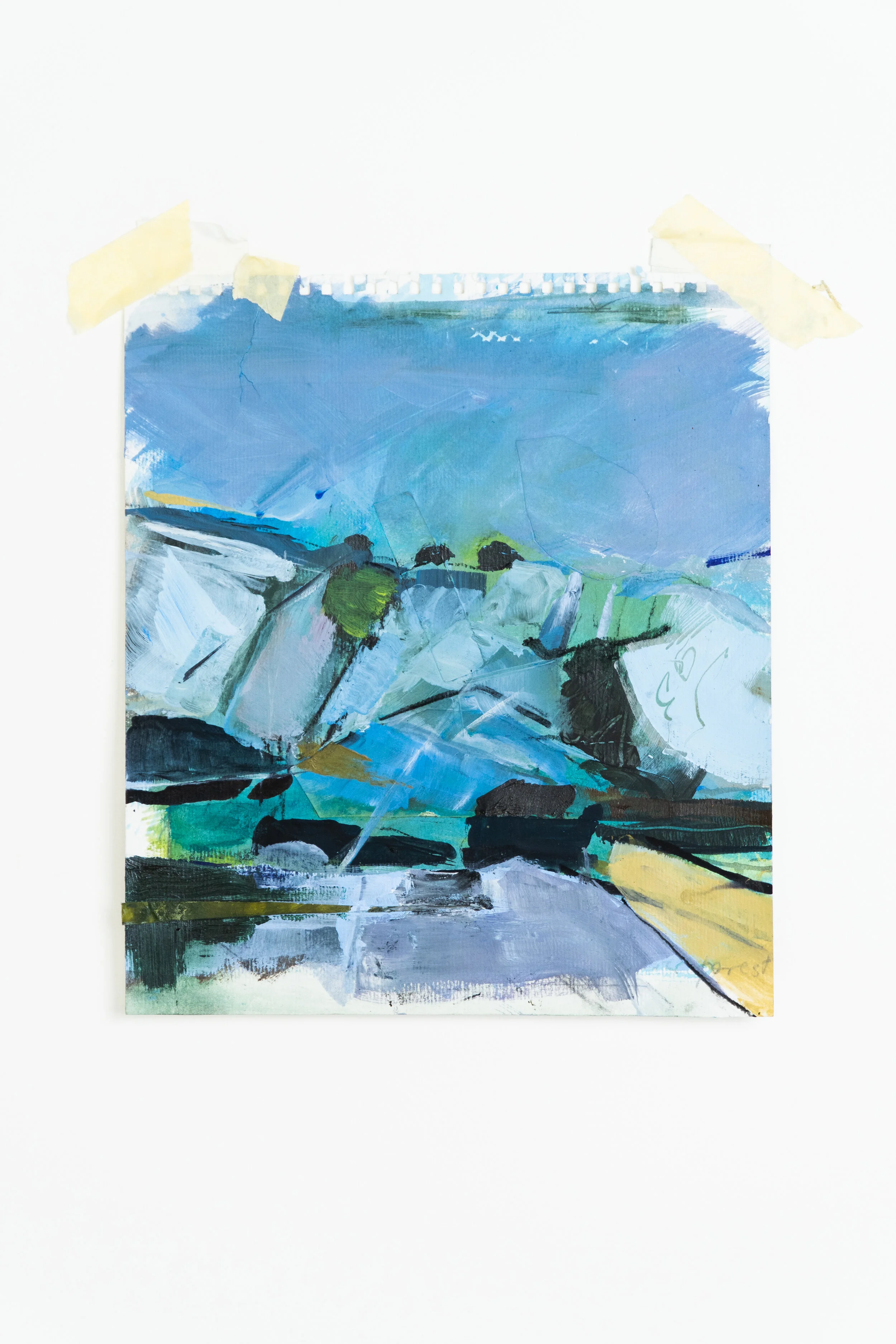 Marlborough Downs Mikey H.E, Marlborough (2020)