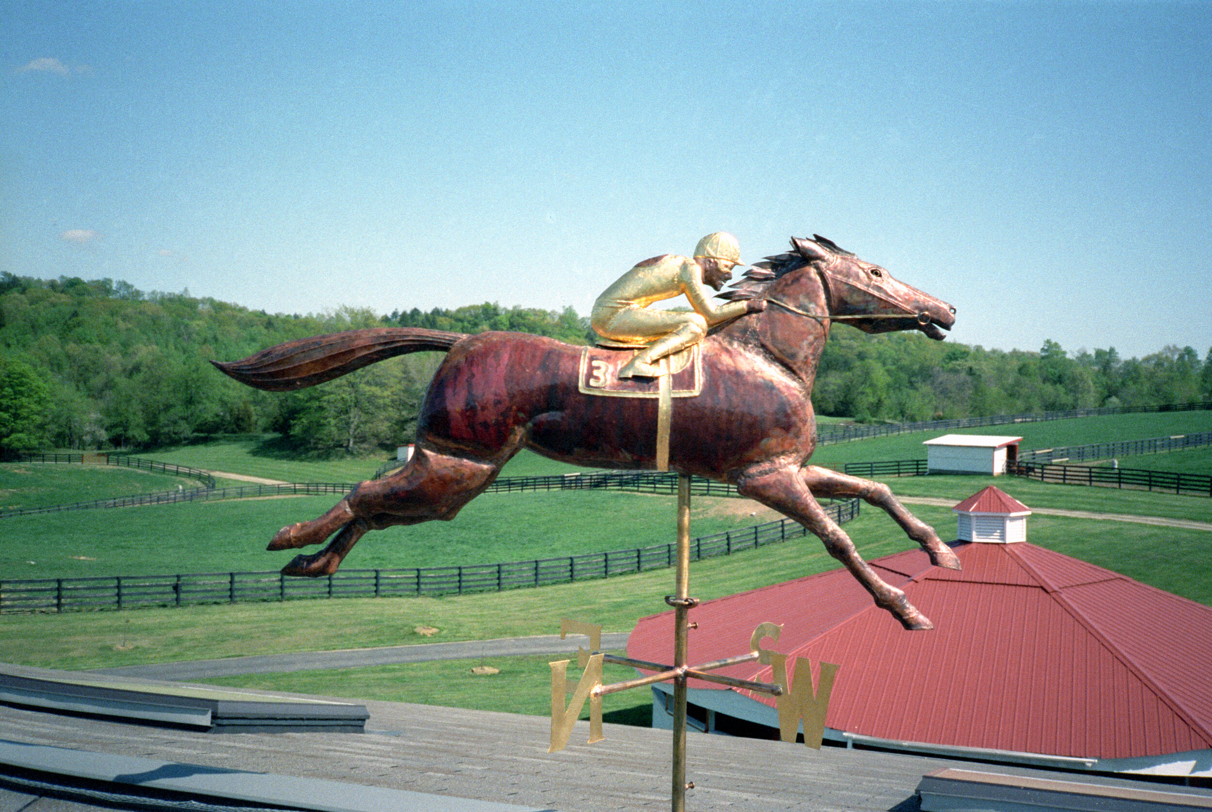 Horse and Jockey #2