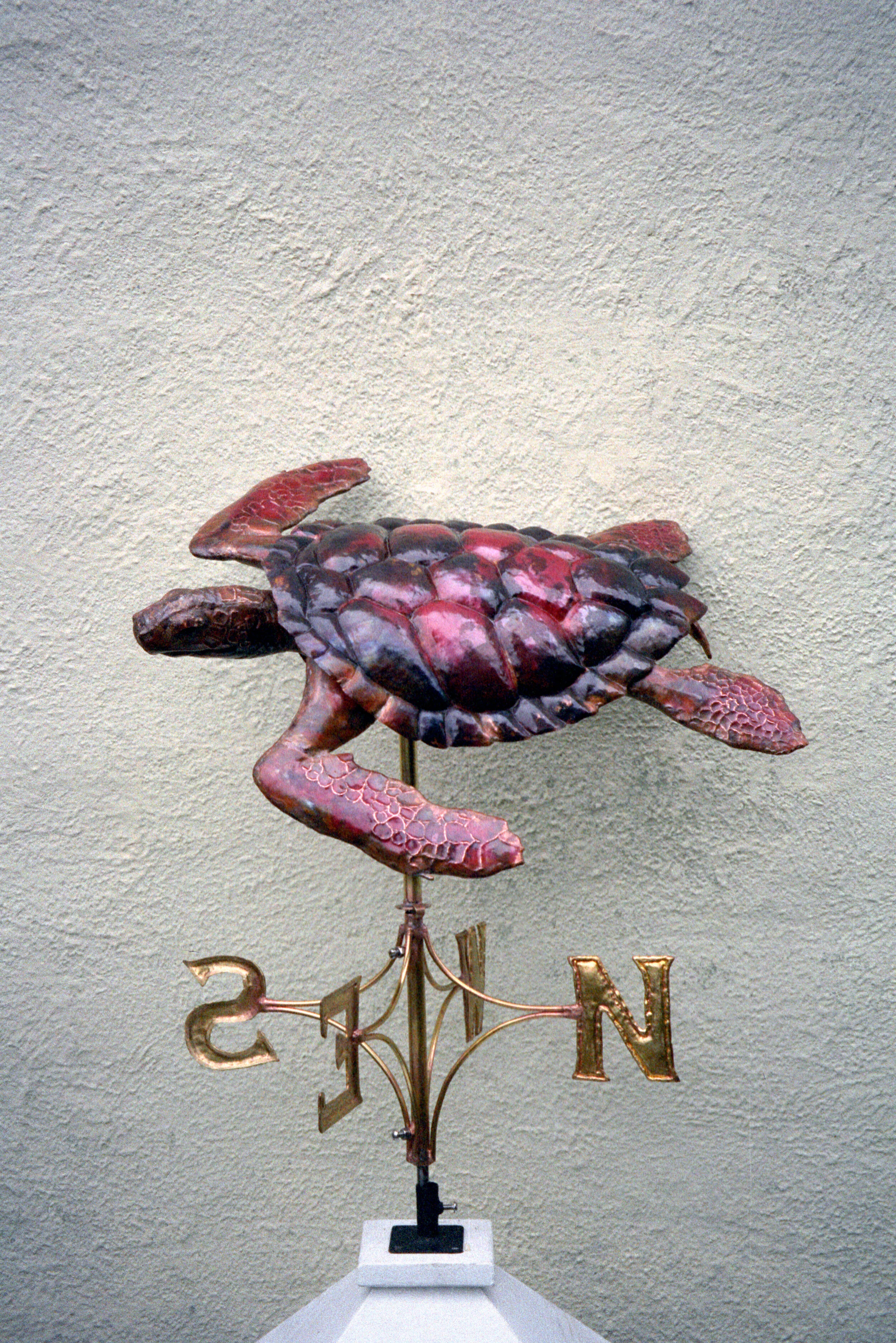 Loggerhead Turtle | Tuck & Holand Metal Sculptors