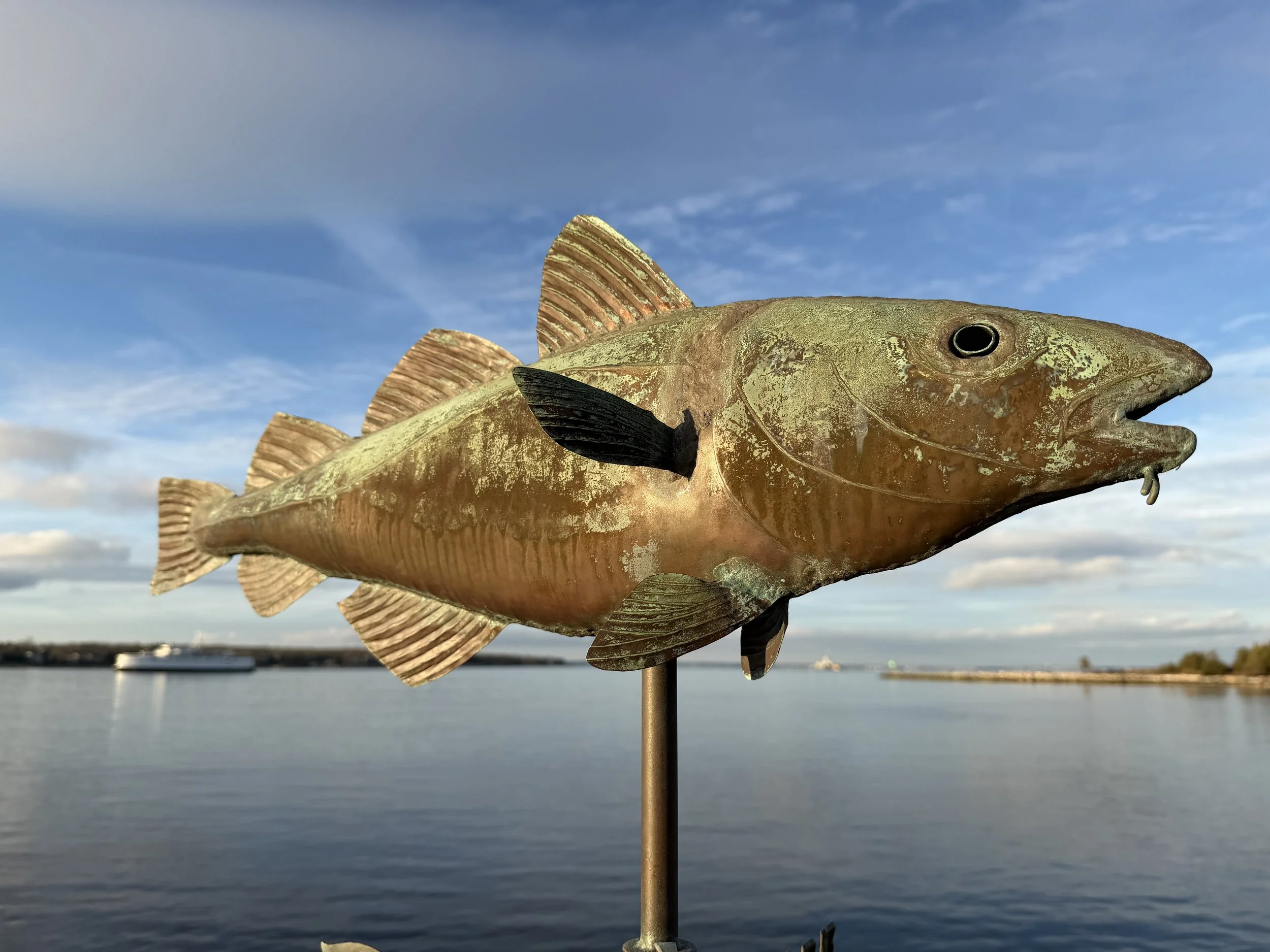 Codfish