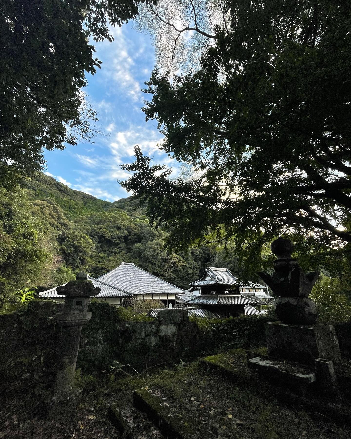 It&rsquo;s so beautiful here! 🌿

Takeo is a town surrounded by a lot of mountains, many many shrines, dense bamboo forests and some majestic ancient trees.

The past month I&rsquo;ve been making hikes to collect inspiration for my project during my 
